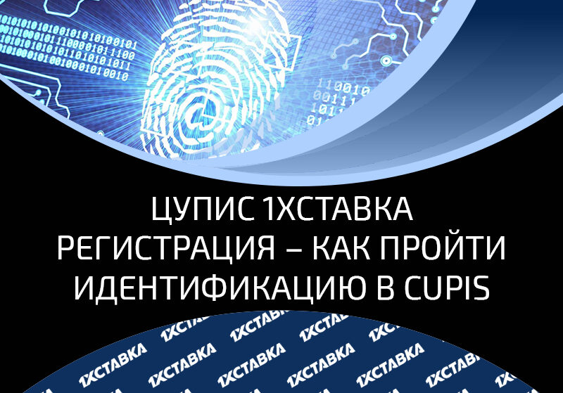 Верификация в ЦУПИС для регистрации в БК 1хСтака – регистрация профиля в CUPIS
